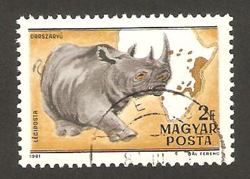 100 anivº zoo kalman kittenberger, rinoceronte 