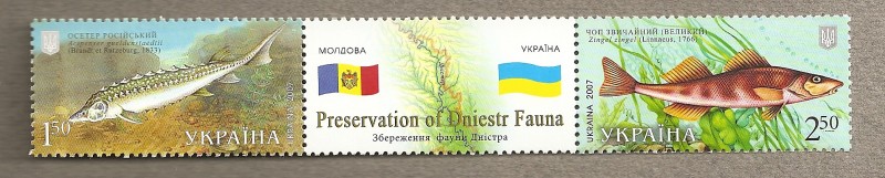 Protección de la fauna del río Dnieper