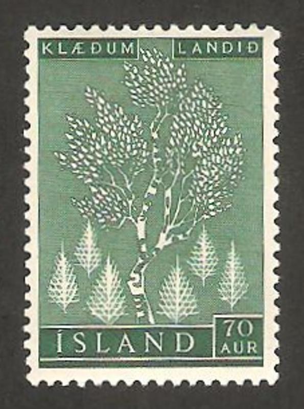 Repoblación forestal