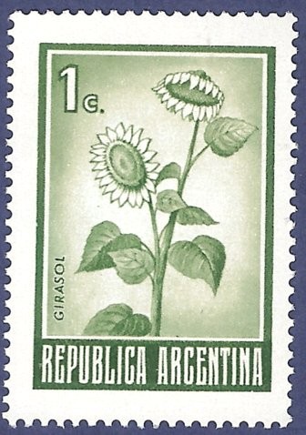 ARG Girasol 1c NUEVO