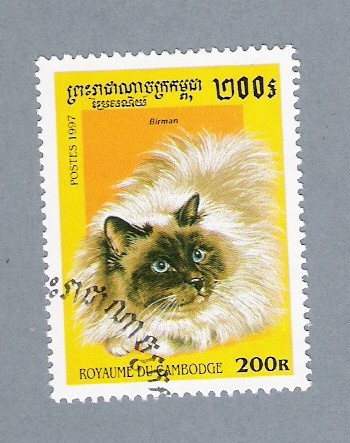 Gato Birman