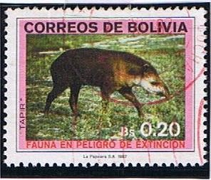 Fauna en Peligro de Extincion ( Tapir )
