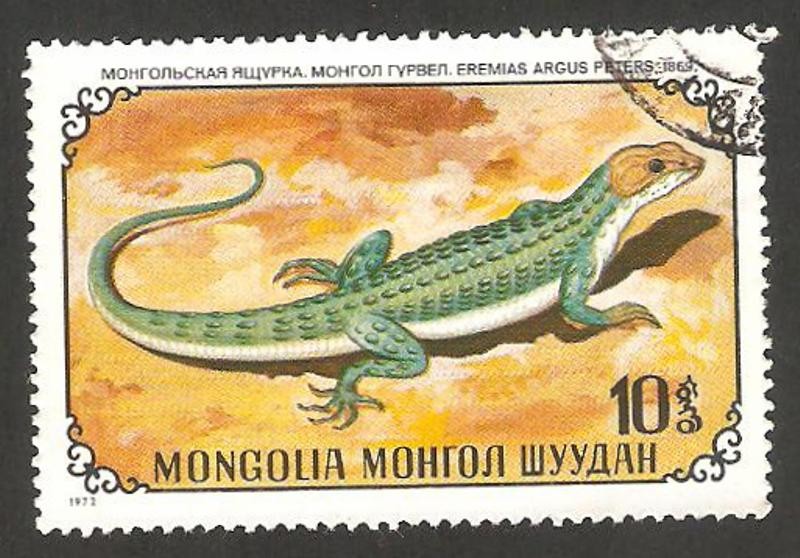 reptiles de Mongolia, eremias argus peters