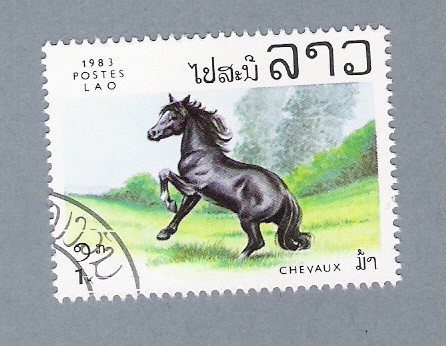 Caballos