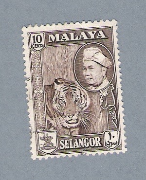 Tigre de Malasia