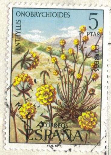 ESPANA 1974 (E2223) Flora - Anthyllis ericoides 5p