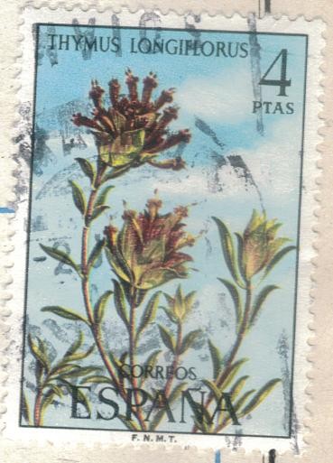 ESPANA 1974 (E2222) Flora - Thymus longiflorus 4p 2 INTERCAMBIO