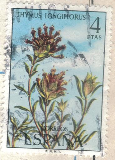 ESPANA 1974 (E2222) Flora - Thymus longiflorus 4p 2 INTERCAMBIO