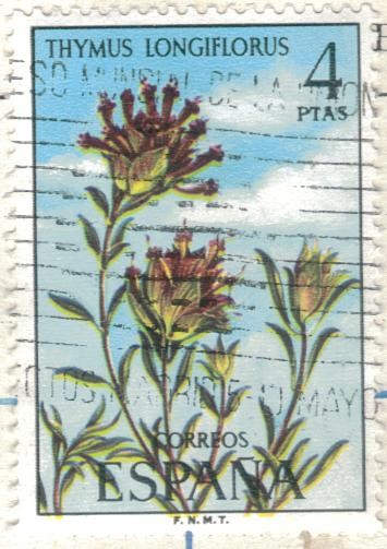 ESPANA 1974 (E2222) Flora - Thymus longiflorus 4p
