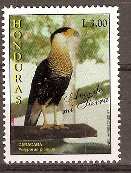 CARACARA