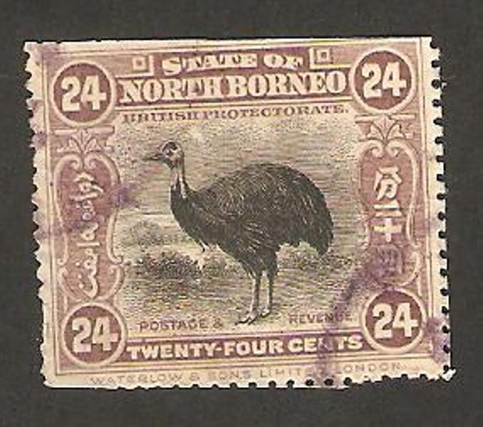 borneo del norte - fauna, avestruz 