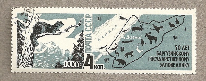 Fauna zona lago Baikal