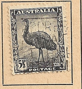 Emu