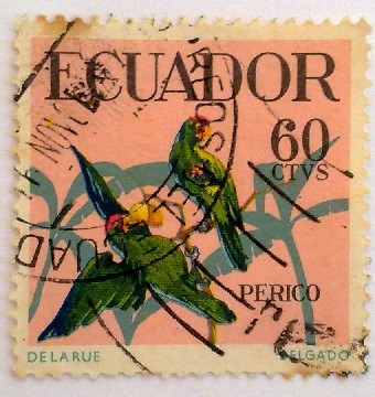 Perico