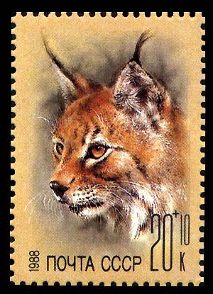 LYNX