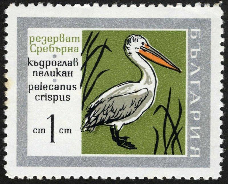 BULGARIA - Reserva natural de Srebarna