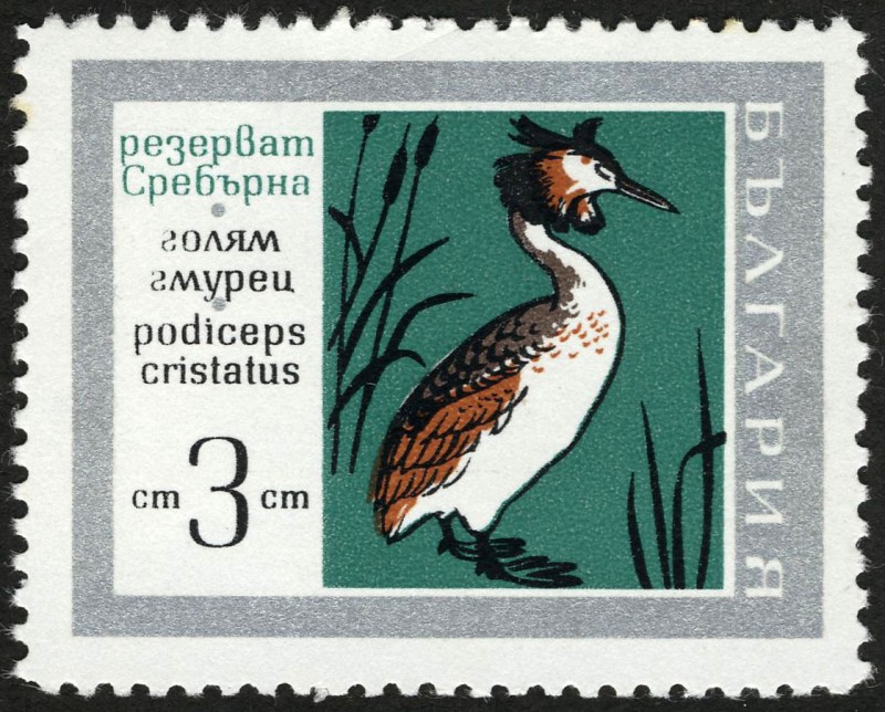 BULGARIA - Reserva natural de Srebarna