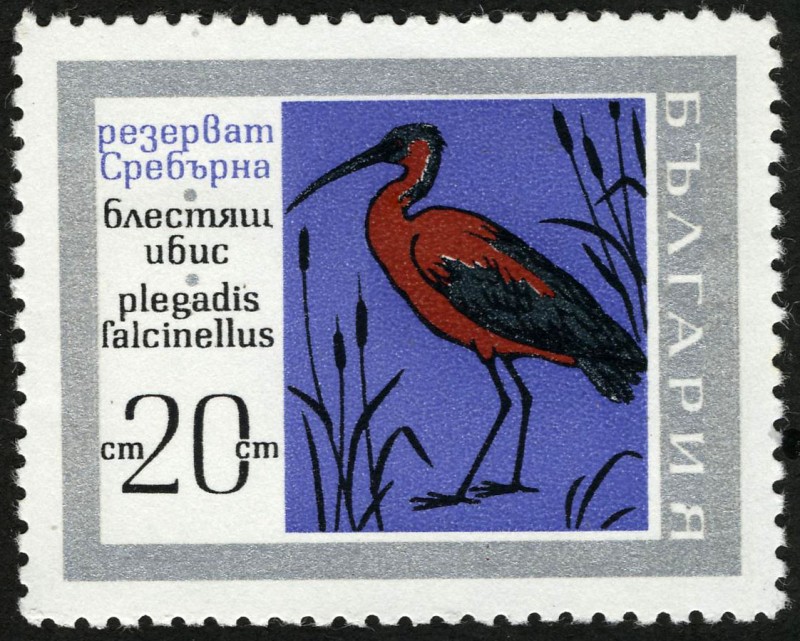 BULGARIA - Reserva natural de Srebarna