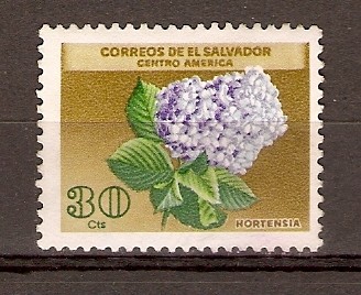 HORTENSIA