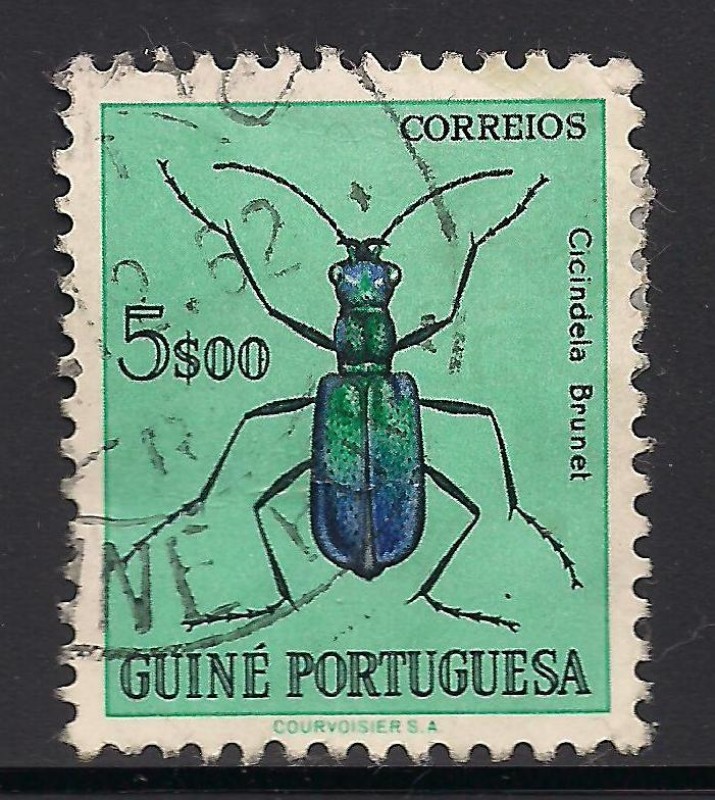 Guinea Portuguesa: Insectos.