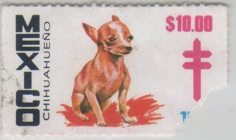 Chihuahueño