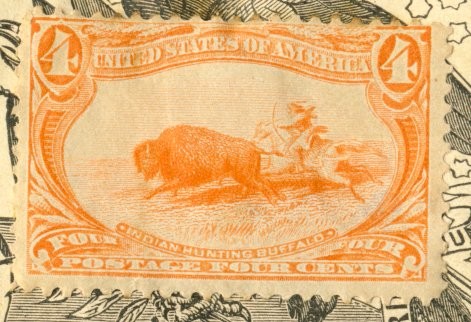 Indian hunting Buffalo