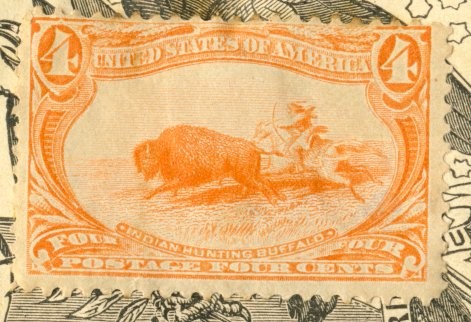 Indian hunting Buffalo