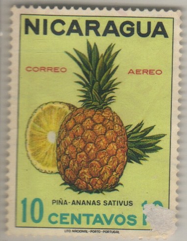 Ananas sativus