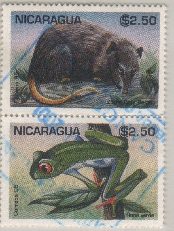 Didelphis marsupialis / Ranidae