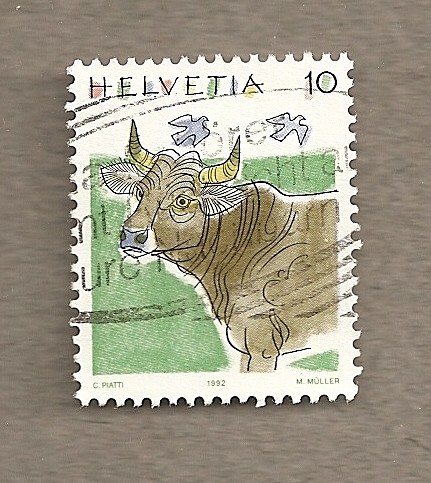 Vaca