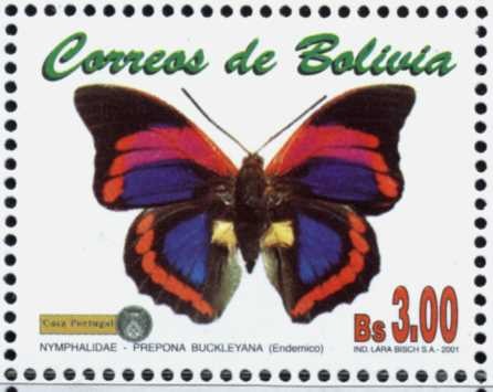 Mariposas e Insectos
