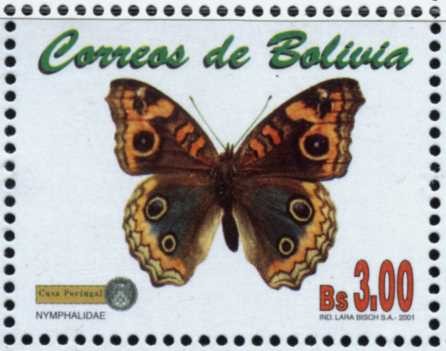 Mariposas e Insectos