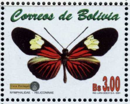 Mariposas e Insectos