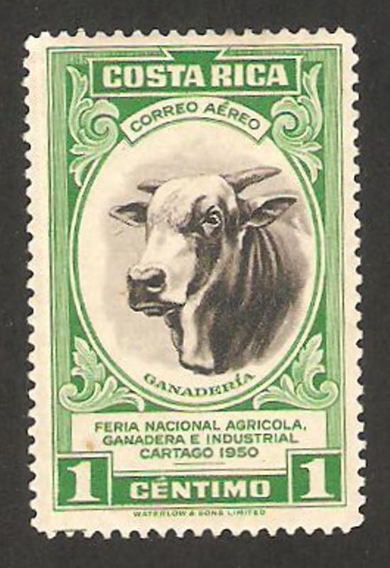 feria nacional agricola ganadera e industrial en cartago