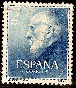 Ramon y Cajal