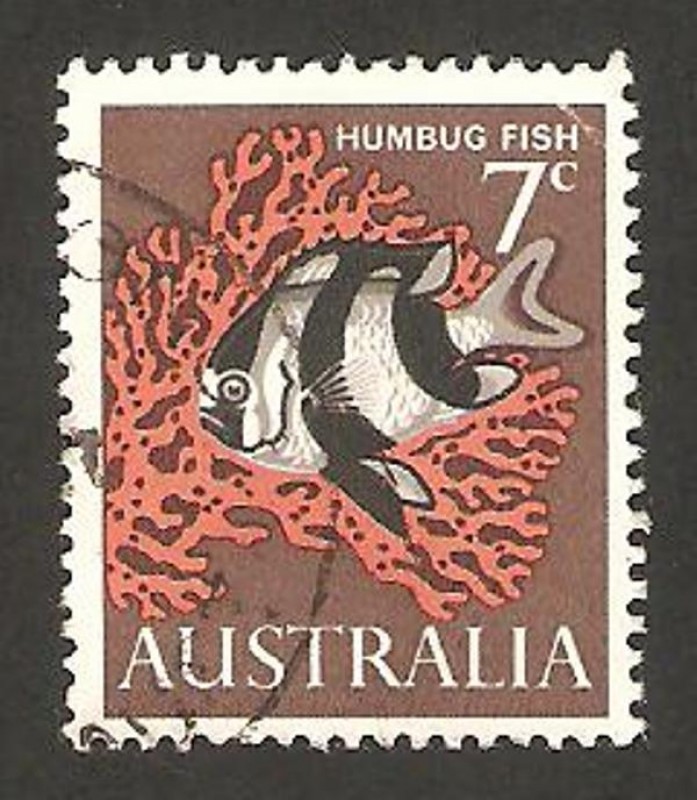 pez humbug