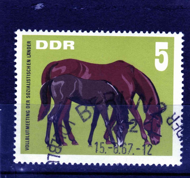 R.D.A.