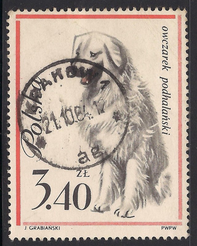 Perro Ovejero.