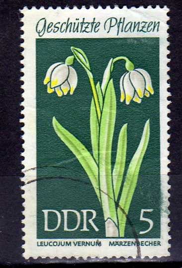 R.D.A.