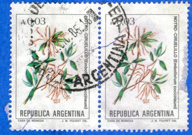 ARGENTINA 1988 (S ) Notro-ciruello a0.03