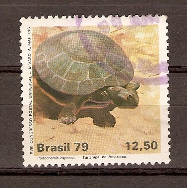 TORTUGA  DEL  AMAZONAS