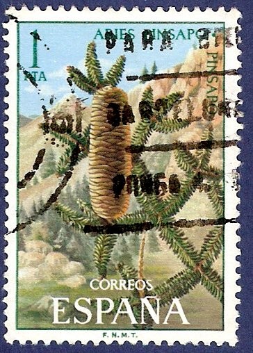 Edifil 2085 Pinsapo 1