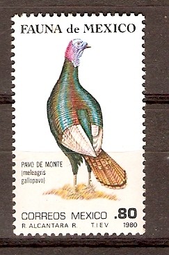 PAVO   DE   MONTE