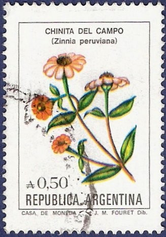 ARG Chinita del campo A0,50