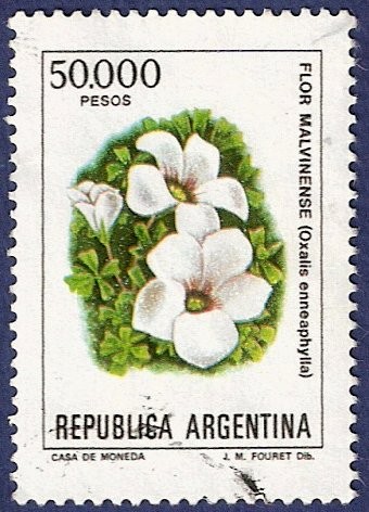 ARG Flor malvinense 50000 (2)