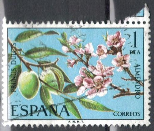 ESPANA 1975 (E2254) Flora - Prunus dulcis 1p h 6