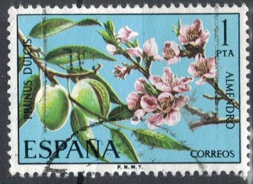 ESPANA 1975 (E2254) Flora - Prunus dulcis 1p h 2