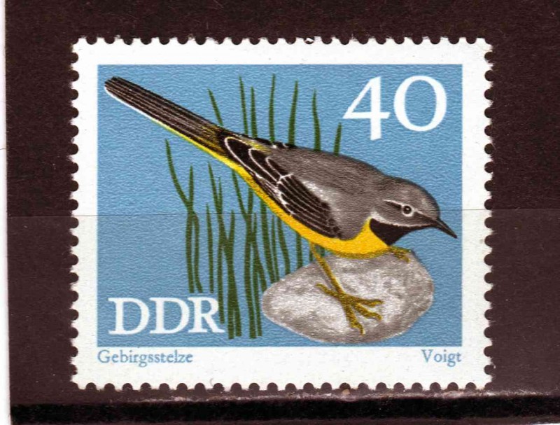 R.D.A.