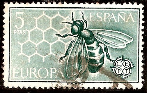 Abeja