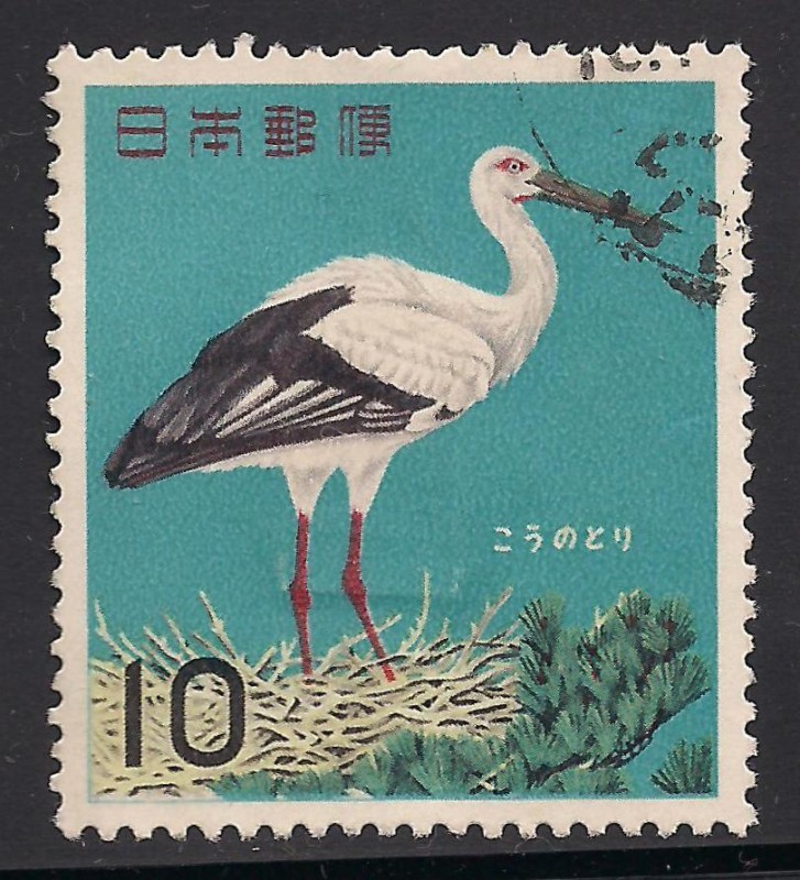 Cigüeña blanca japonesa